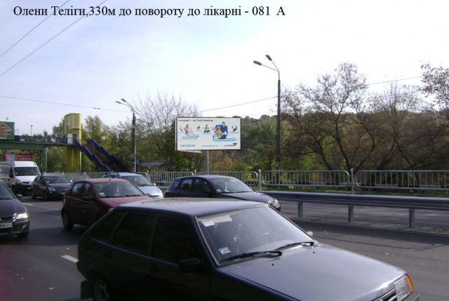 Щит 6x3,  Елены Телиги,330м до поворота до Кириловской церкви